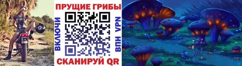 Купить где Нижняя Тура Галлюциногенные грибы мицелий